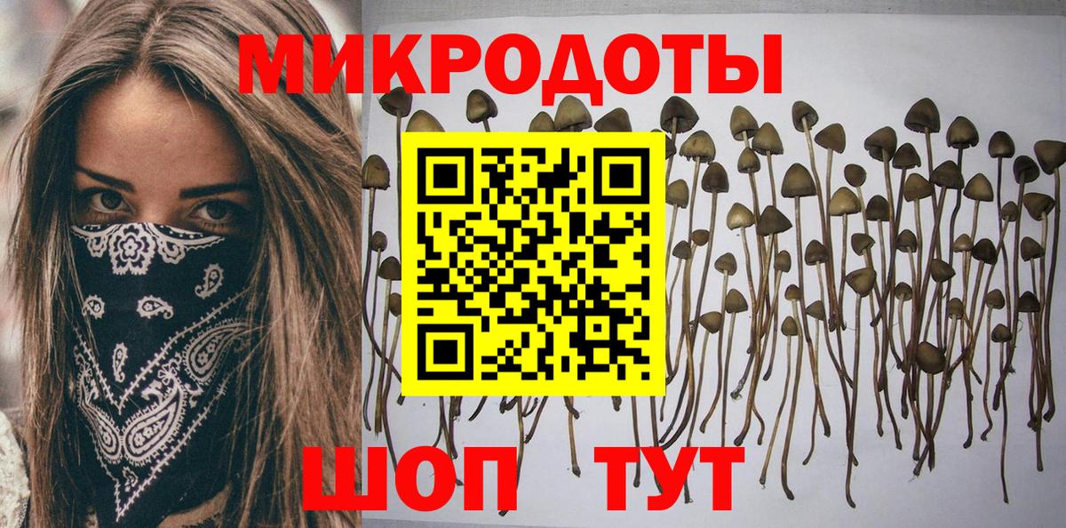 Псилоцибиновые грибы прущие грибы  Вход с VPN  Псилоцибиновые грибы MAGIC MUSHROOMS  Коряжма 