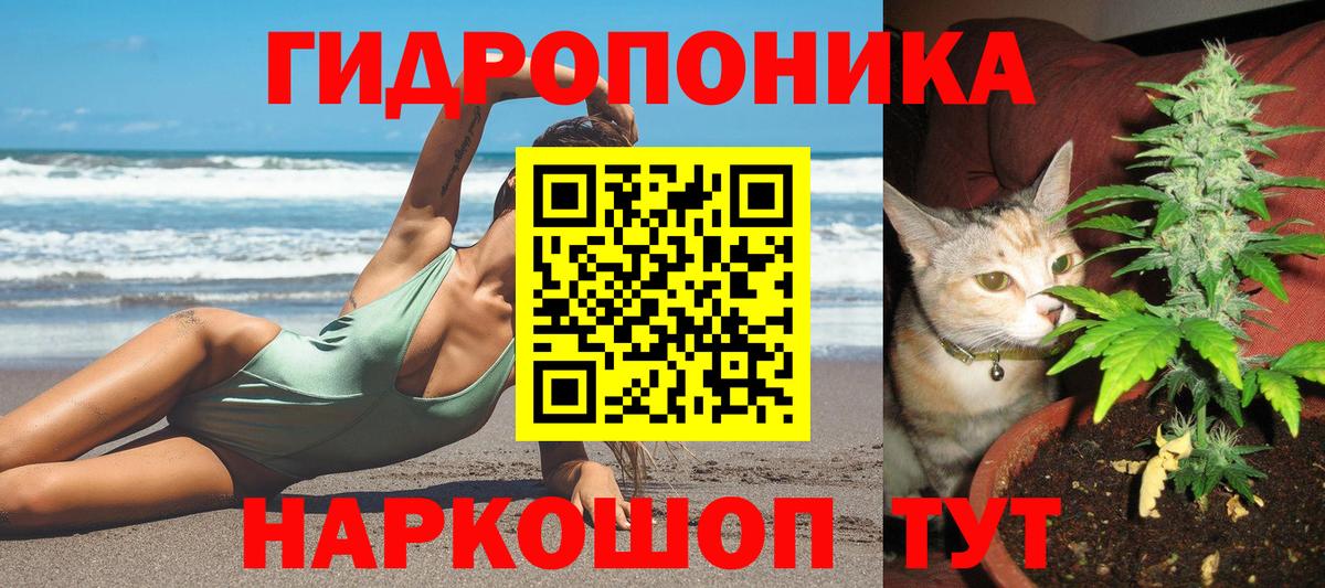 Бошки Шишки VHQ  Вход с VPN  Коряжма  Бошки Шишки семена  Канабис гибрид 